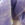 détail laine cachemire pashmina violette écru