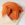 étole pashmina orange-écr